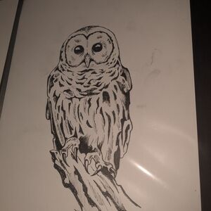 Monochrome Owl Illustration Art Print